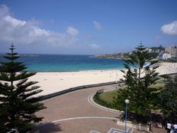Aquarium - Lennox Head Accommodation 2