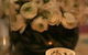 Chanterelle At Jessicas - thumb 3