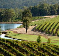 Brookhampton Estate Vineyard - Lennox Head Accommodation
