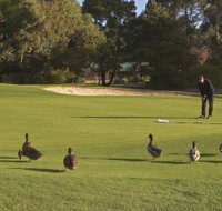 Royal Hobart Golf Club - Lennox Head Accommodation