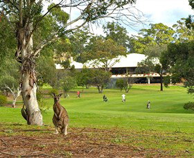 Merimbula NSW Lennox Head Accommodation