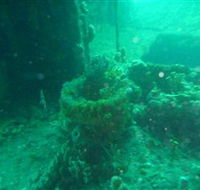 Wallaroo Scuba Club - Lennox Head Accommodation