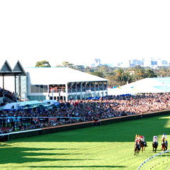 Morphettville SA Lennox Head Accommodation