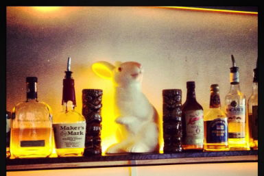 Hairy Canary - Lennox Head Accommodation 0