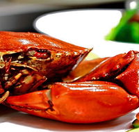 Newquay International Buffet - Lennox Head Accommodation