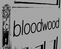 Bloodwood - Lennox Head Accommodation 0