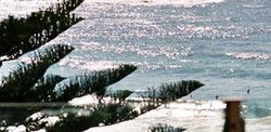 Bondi Social - Lennox Head Accommodation 0