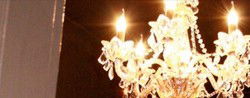 Agape Organic Restaurant & Bar - Lennox Head Accommodation 1