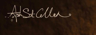 Ash St. Cellar - Lennox Head Accommodation 0