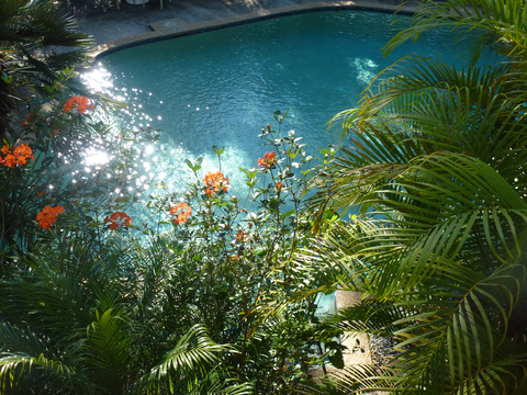 Avoca Beach Hotel - Lennox Head Accommodation 1