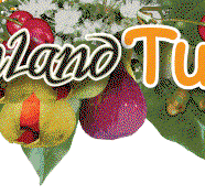 Bushland Tukka Cafe  Catering - Lennox Head Accommodation