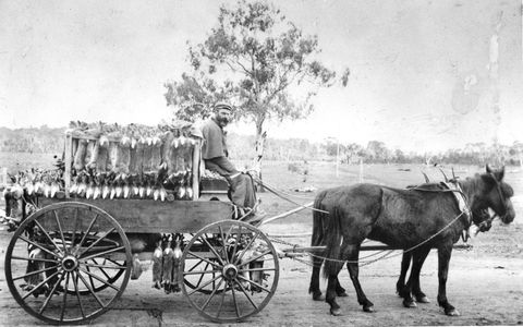 A Tale Of Two Villages - An Exhibition - Lennox Head Accommodation 1