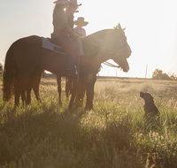 Balonne Cutting Horse Futurity - Lennox Head Accommodation