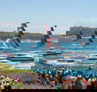 Boxing Day Cruise - Sydney to Hobart Yacht Race - Lennox Head Accommodation