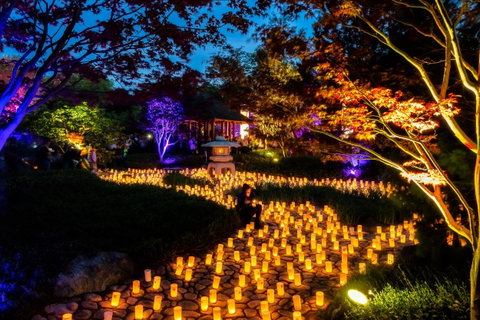Canberra Nara Candle Festival - Lennox Head Accommodation 0