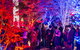 Canberra Nara Candle Festival - thumb 1