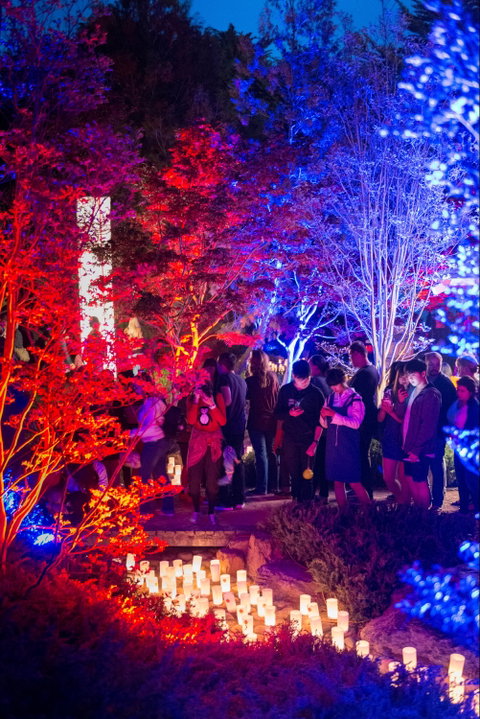 Canberra Nara Candle Festival - Lennox Head Accommodation 1