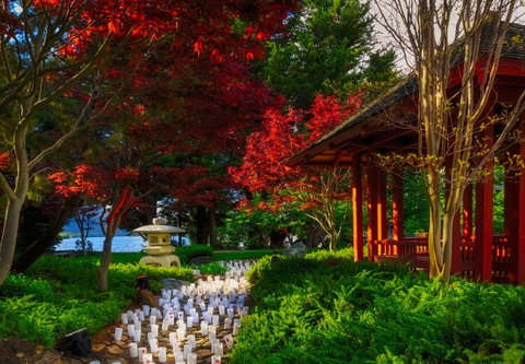 Canberra Nara Candle Festival - Lennox Head Accommodation 2