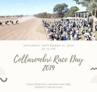 Collarenebri Races - Lennox Head Accommodation