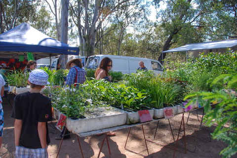 Fernvale Country Markets - Lennox Head Accommodation 1