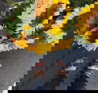 Friday Forage - Lennox Head Accommodation