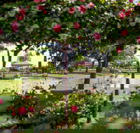 Griffith Spring Fest - Lennox Head Accommodation