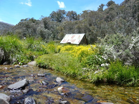Hedonistic Hiking's Falls Creek To Hotham - Lennox Head Accommodation 0