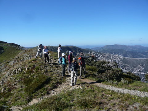 Hedonistic Hiking's Falls Creek To Hotham - Lennox Head Accommodation 1