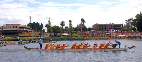 Jacaranda Dragon Boat Races - Lennox Head Accommodation 0