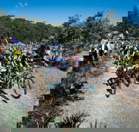 JetBlack Wild Wombat MTB Challenge - Lennox Head Accommodation