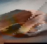 Lecture Cancelled  ADFAS  Lecture Half-Day - Patricia Law speaking on Pearls and Diamonds - Lennox Head Accommodation