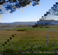 Milton Village Showground Markets - Lennox Head Accommodation