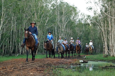 Night Horse Ride And Dinner - Lennox Head Accommodation 0