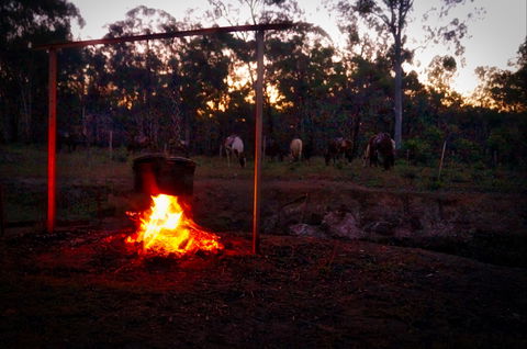 Night Horse Ride And Dinner - Lennox Head Accommodation 2