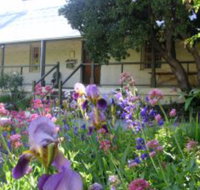 Raglan Art Award Exhibition - Lennox Head Accommodation