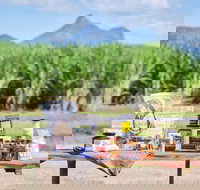 Taste Tweed - Lennox Head Accommodation