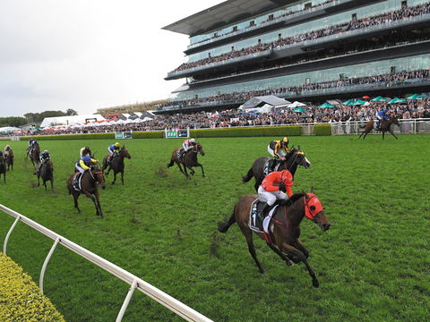 The TAB Everest: The World’s Richest Race On Turf - Lennox Head Accommodation 0