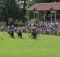 Tumut Derby Day - Lennox Head Accommodation