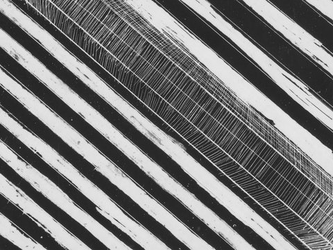 WA Now – Tom Mùller: Monolith Scores - Virtual Exhibition - Lennox Head Accommodation 1