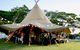 Watsons Bay Spring Market - thumb 1