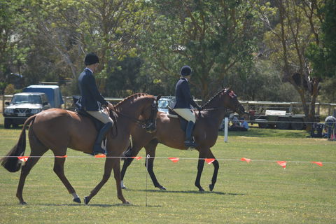 Yankalilla Show - Lennox Head Accommodation 2