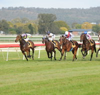 Aggies Race Day - Lennox Head Accommodation