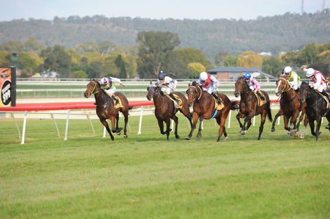 Aggies Race Day - Lennox Head Accommodation 0