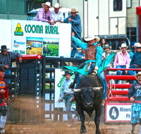 AgriWest Cooma Rodeo - Lennox Head Accommodation