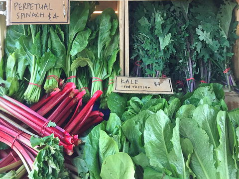 Albury Wodonga Farmers Market - Lennox Head Accommodation 0