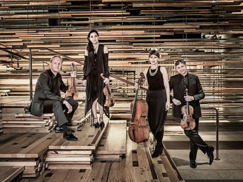Australian String Quartet Plays Late Beethoven - Lennox Head Accommodation 2