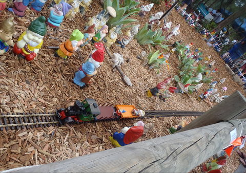 Australia Day With The Australian Gnome Convention Glenbrook - Lennox Head Accommodation 2