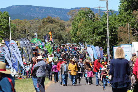 Australian National Field Days - Lennox Head Accommodation 1