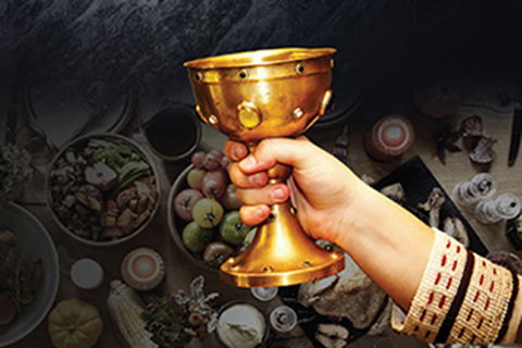 Blacktown City Medieval Banquet - Lennox Head Accommodation 0
