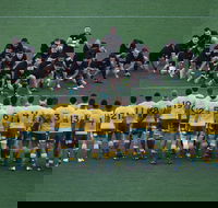 Bledisloe Cup Qantas Wallabies versus All Blacks - Lennox Head Accommodation